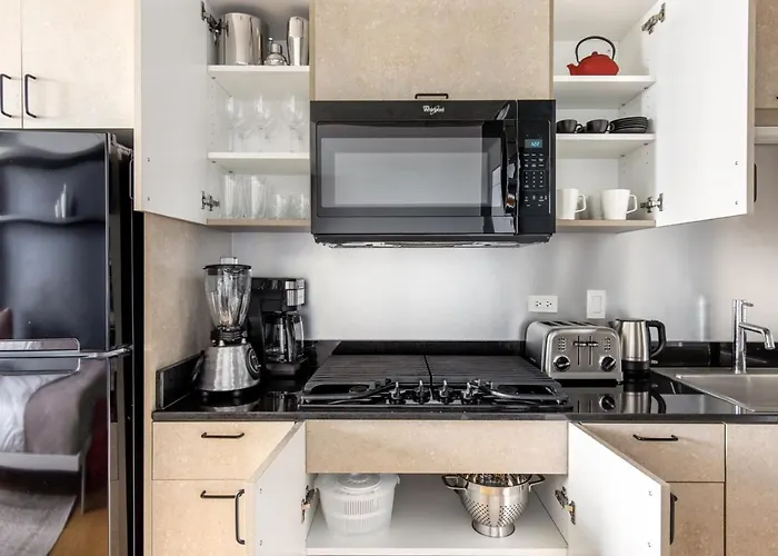 Apartment Lincoln Park W Wd Nr L New Chi-305 *