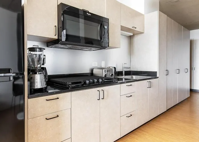 Lincoln Park W Wd Nr L New Chi-305 Apartment *