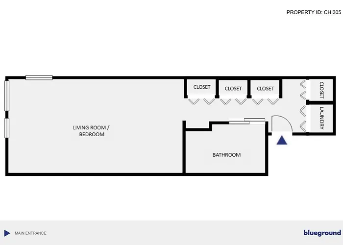 Lincoln Park W Wd Nr L New Chi-305 Apartment