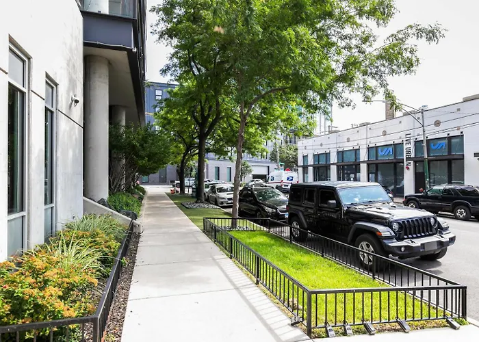 Lincoln Park W Wd Nr L New Chi-305 * Chicago